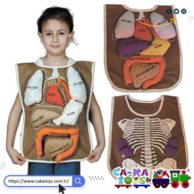 CK-368500 Organ Önlüğü