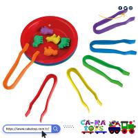 CK-368780 Kase Cımbız Aktarma Seti