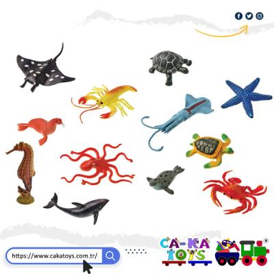 CK-368803 Deniz Hayvanları