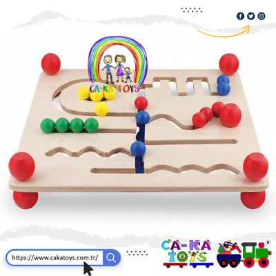 CK-523460 Yol Bulma Oyunu